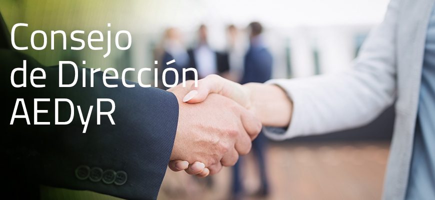 consejo-de-dirección-aedyr-grande